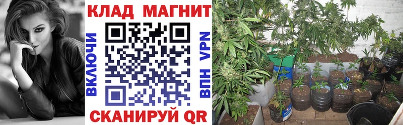 Какие есть наркотики Кировград hydra как войти БУТИРАТ Гашиш Каннабис