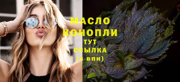 дживик Бородино