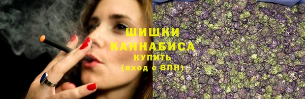 дживик Бородино