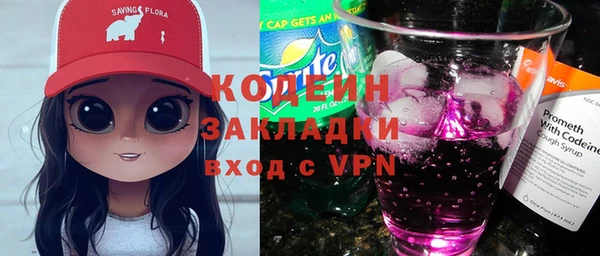 гидра Богородск