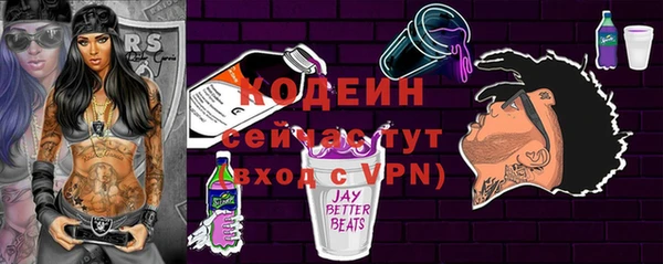 дживик Бородино