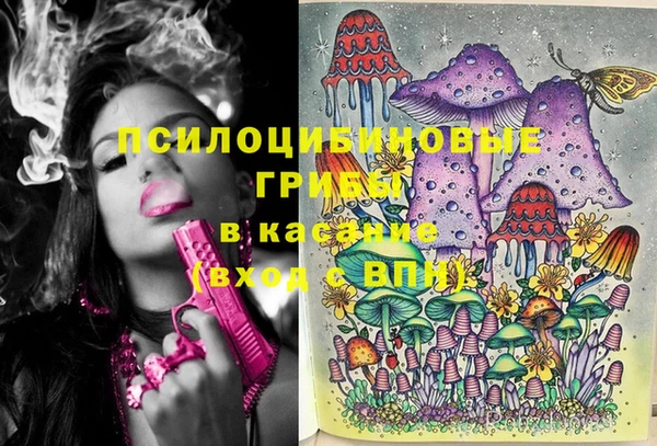 трава Богданович