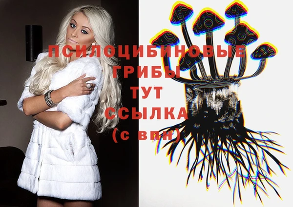 гидра Богородск